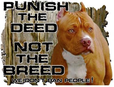 Punish The Deed, Pitbull