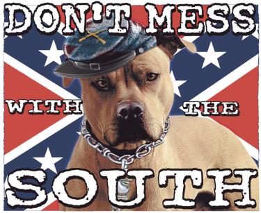 Don't Mess With The South