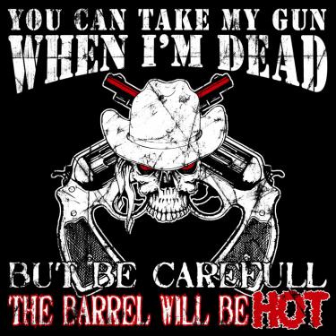 You Can Take My Gun