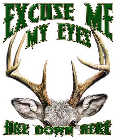 Excuse Me My Eyes Are Down Here